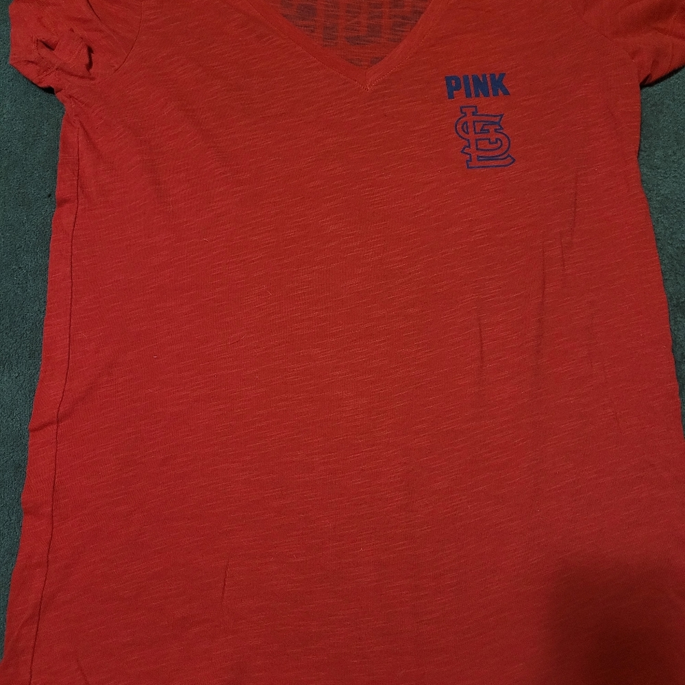 Small VS Pink Cardinals